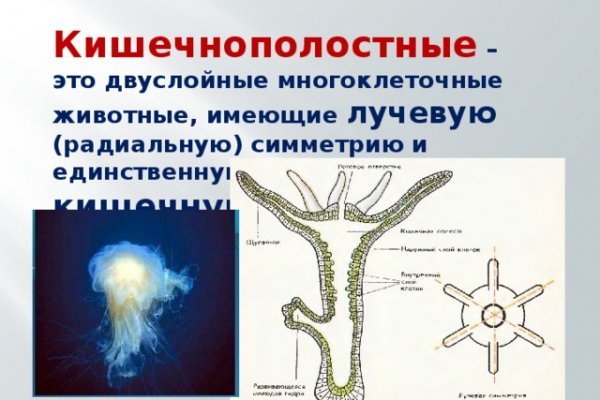 Кракен сайт зеркало рабочее