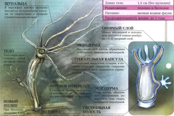 Кракен сайт официальный onion
