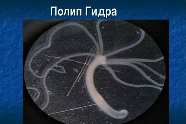 Кракен зеркало onion
