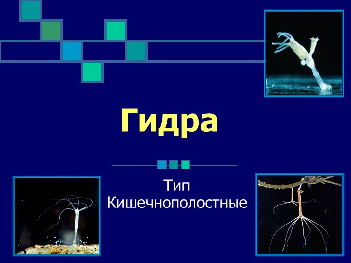Нарко сайт кракен