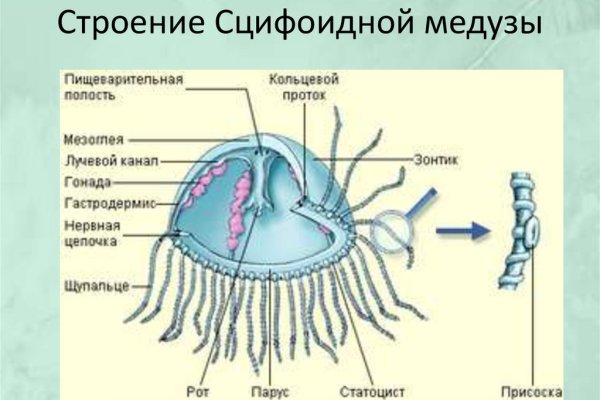 Кракен даркнет ссылка зеркало